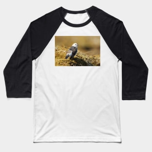 Snow bunting Baseball T-Shirt